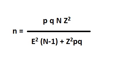 formula 01